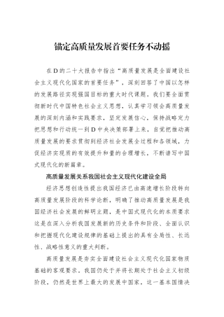 锚定高质量发展首要任务不动摇