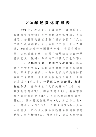 2020年镇党委书记述责述廉报告