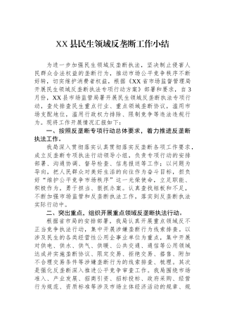XX县民生领域反垄断工作小结
