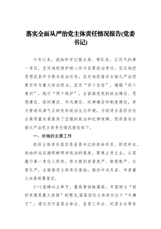 落实全面从严治党主体责任情况报告(党委书记)_转换