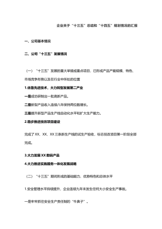 企业关于“十三五”总结和“十四五”规划情况的汇报