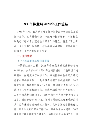 XX林业局2020年工作总结及2021年工作计划
