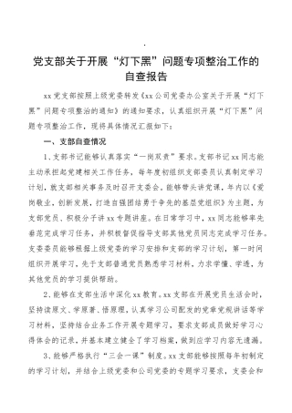党支部灯下黑问题专项整治工作情况自查报告