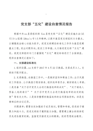 党支部五化建设自查情况报告