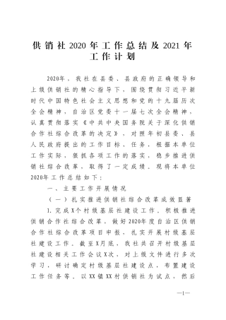 供销社2020年工作总结及2021年工作计划