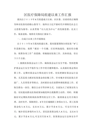 区医疗保障局组建以来工作汇报