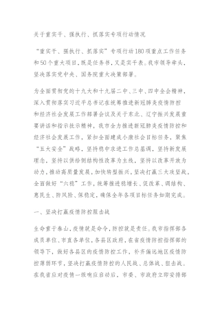 关于重实干、强执行、抓落实专项行动情况