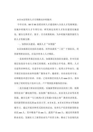 X市X县坚持人才引领推动乡村振兴