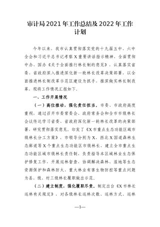 局机关：审计局2021年工作总结及2022年工作计划