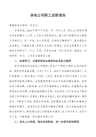 某某电力公司个人工作总结述职报告