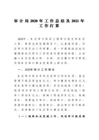 审计局2020年工作总结及2021年工作打算