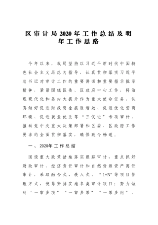 审计局2020年工作总结及工作思路