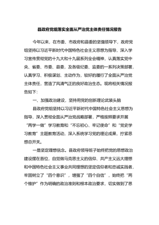县政府党组落实全面从严治党主体责任情况报告