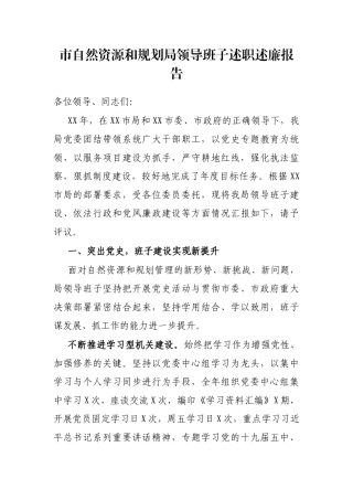 市自然资源和规划局领导班子述职述廉报告 - 副本