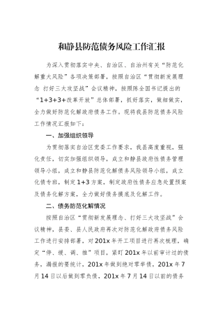 和静县防范债务风险工作汇报_转换