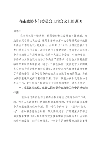 在市政协专门委员会工作会议上的讲话