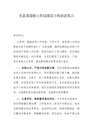 在县委巡察工作反馈会上的表态发言