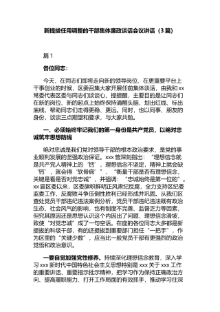 新提拔任用调整的干部集体廉政谈话会议讲话（3篇）
