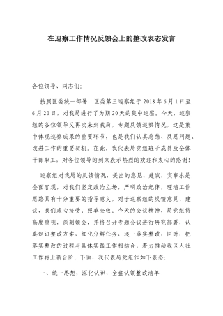 在巡察工作情况反馈会上的整改表态发言