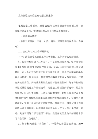 宣传部迎接市委巡察专题工作报告