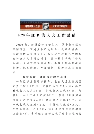 2020年度乡镇人大工作总结