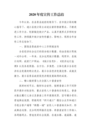 2020年度宣传工作总结（统计）
