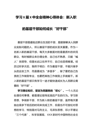 学习X届X中全会精神心得体会：新入职的基层干部如何成长“好干部”