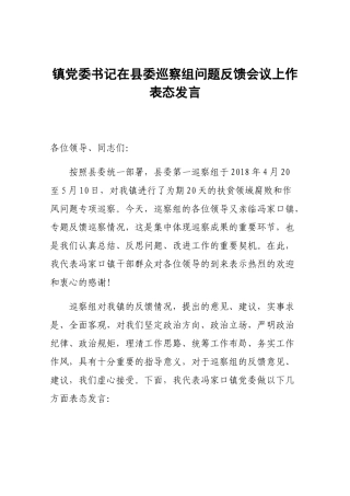 镇党委书记在县委巡察组问题反馈会议上作表态发言