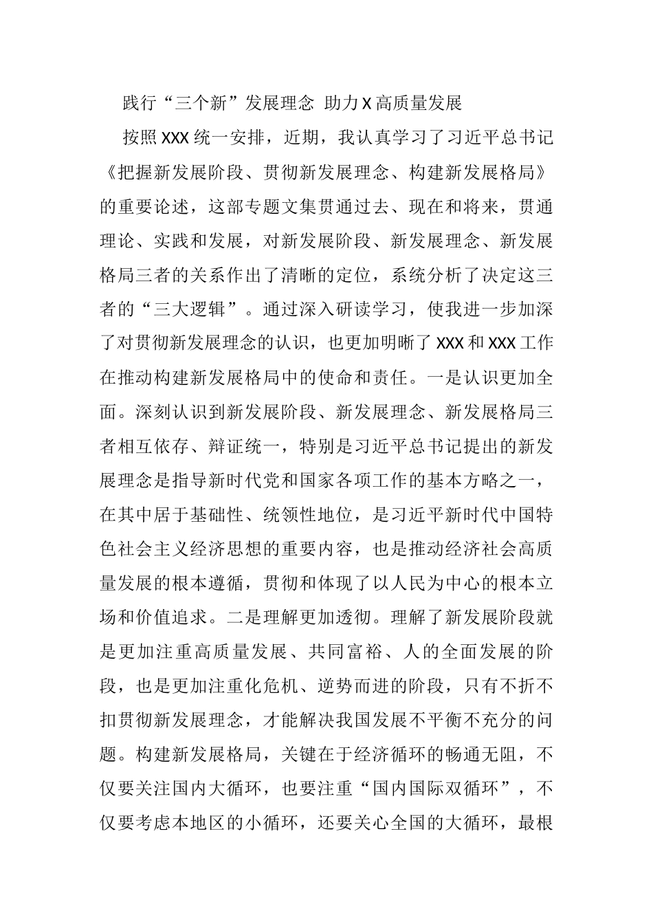 践行“三个新”发展理念 助力X高质量发展_第1页