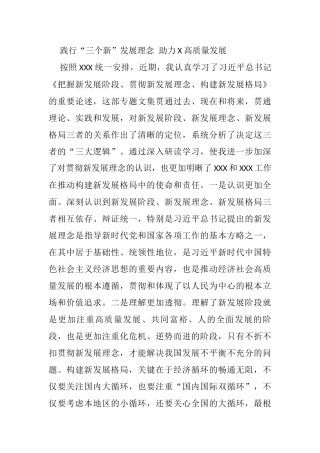 践行“三个新”发展理念 助力X高质量发展