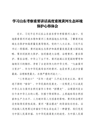 学习山东考察重要讲话高度重视黄河生态环境保护心得体会