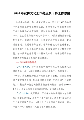 2020年宣传文化工作亮点及下步工作计划