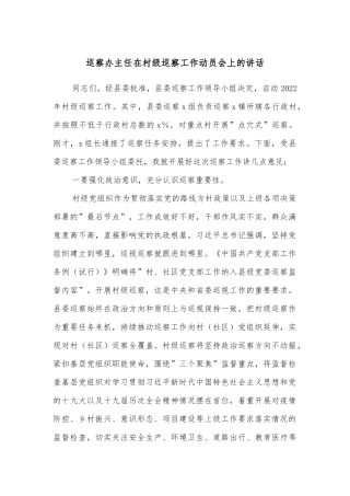 巡察办主任在村级巡察工作动员会上的讲话
