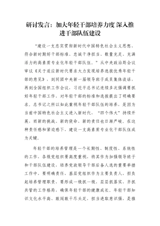 研讨发言：加大年轻干部培养力度 深入推进干部队伍建设