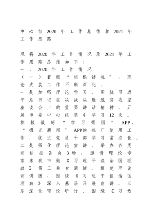 中心组2020年工作总结和2021年工作思路