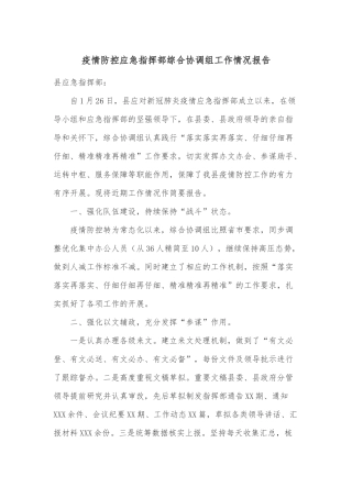疫情防控应急指挥部综合协调组工作情况报告