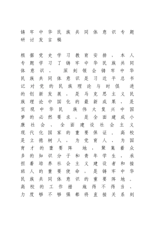 铸牢中华民族共同体意识专题研讨发言稿