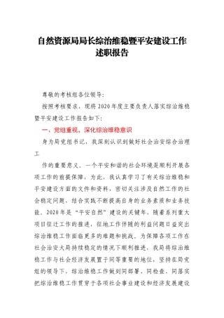 自然资源局局长综治维稳暨平安建设工作述职报告