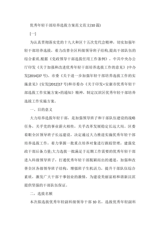 优秀年轻干部培养选拔方案范文范文(10篇)