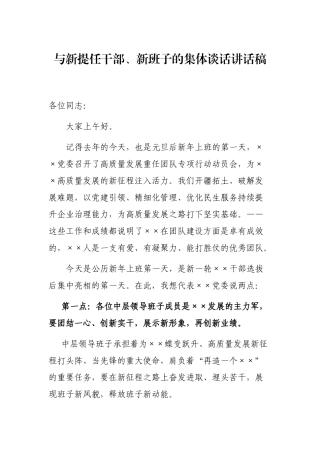 与新提任干部、新班子的集体谈话讲话稿