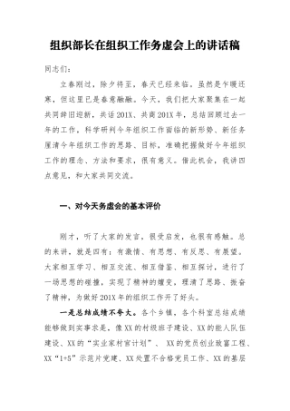 组织部长在组织工作务虚会上的讲话稿_转换