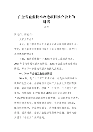 李莎：在全省企业技术改造项目推介会上的讲话_转换