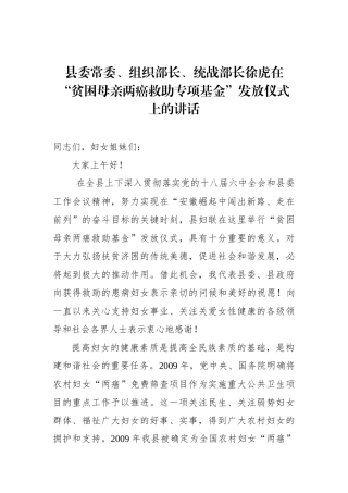 徐虎：在“贫困母亲两癌救助专项基金”发放仪式上的讲话_转换