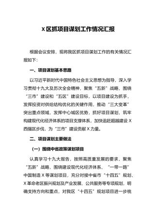 X区抓项目谋划工作情况汇报