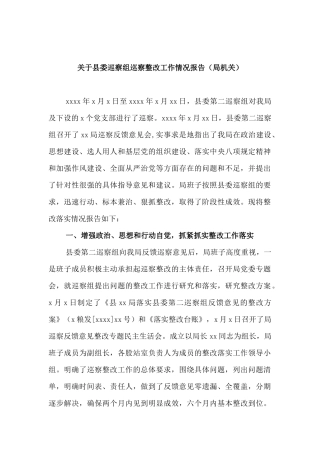 2021年巡视巡察整改材料汇编