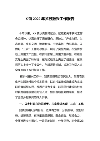 X镇2022年乡村振兴工作报告