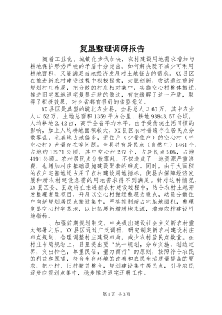 2024年复垦整理调研报告