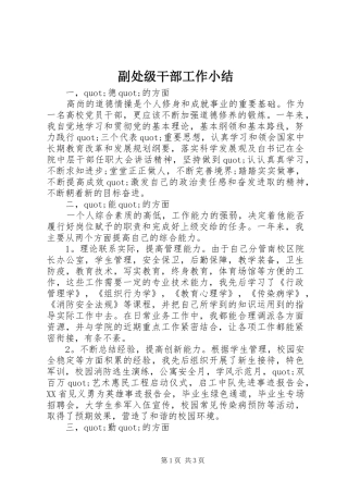 2024年副处级干部工作小结