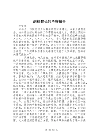 2024年副检察长的考察报告