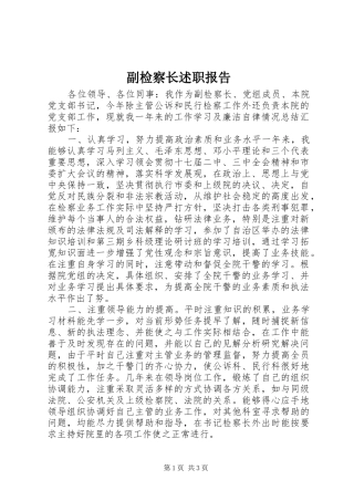 2024年副检察长述职报告